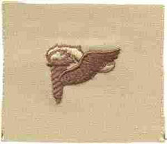Pathfinder, Patch, Desert Subdued - Saunders Military Insignia