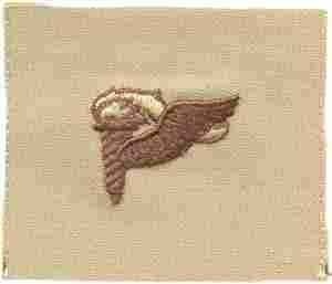 Pathfinder, Patch, Desert Subdued - Saunders Military Insignia