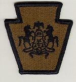Pennsylvania National Guard Subdued Patch
