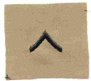 Private (E2) desert Chevron, collar