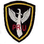 Provincial Reconnaissance Unit (Special Forces) Patch