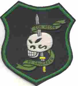 Reconnaissance Team Crusader Command and Control North - Saunders Military Insignia
