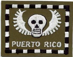 Reconnaissance Team Puerto Rico, Patch - Saunders Military Insignia