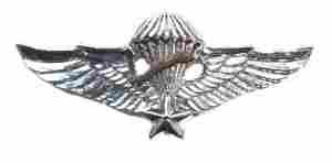 RVN Master Para Wing Vietnam, wing