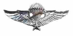 RVN Master Para Wing Vietnam, wing - Saunders Military Insignia