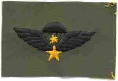 RVN Senior Para Wing Vietnam Jump Wing - Saunders Military Insignia