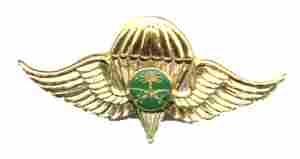 Saudi Arabia Para Wing, Foreign Para Wing - Saunders Military Insignia