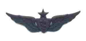 Senior Flight Surgeon badge in black metal