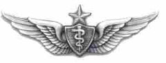 Senior Flight Surgeon wing - Saunders Military Insignia