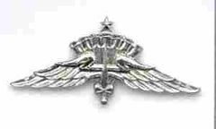 Senior HALO badge - Saunders Military Insignia