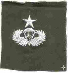Senior Para, Badge, cloth, Olvie Drab - Saunders Military Insignia