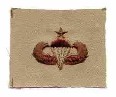 Senior Para Desert Wing, cloth, desert subdued - Saunders Military Insignia