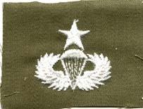 Senior Parachute Wing subdued cloth badge Wing, cloth,Olive Drab - Saunders Military Insignia