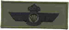 Spain Basic subued Foreign Jump Wing - Saunders Military Insignia