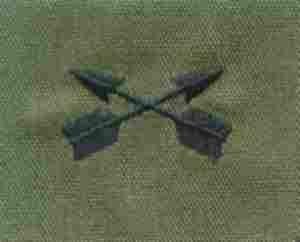 Special Forces Army Branch of Service insignia - Saunders Military Insignia