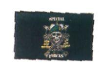 Special Forces Flag 3' x 5' Poylester