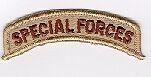 Special Forces  Tab, desert subdued