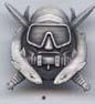 Special Operations Diver Badge in silver oxide - Saunders Military Insignia