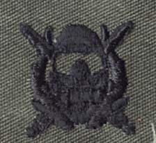 Special Operations Divers Badge, Badge, cloth, Subdue subdued, sew on - Saunders Military Insignia