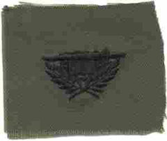 Staff Specialist Res Army Branch of Service insignia - Saunders Military Insignia