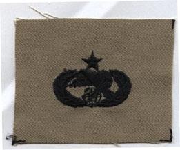 Supply Fuel Senior Desert USAF Badge Sew-On