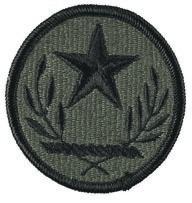 Texas, Army ACU Patch with Velcro