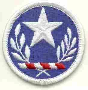 Texas National Guard Full Color Patch - Saunders Military Insignia