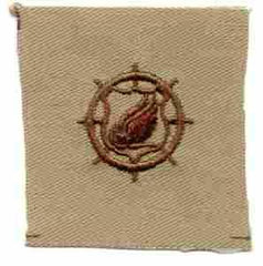 Transportation desert Army Branch Service - Saunders Military Insignia