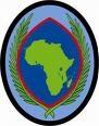 US Africa Command Badge - Saunders Military Insignia