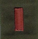 US Air Force 2nd Lieutenant Gortex rank insignia