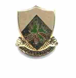 US Army 109th Support Battalion Unit Crest