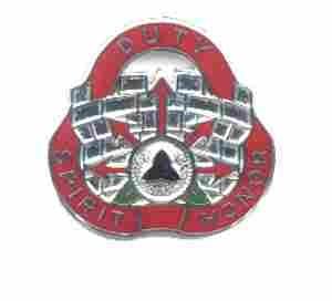 US Army 134th Engineer Group Unit Crest