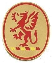 US Army 13th Field Artillery Unit Crest