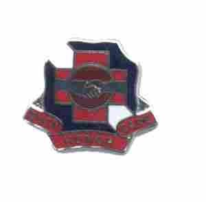 US Army 142nd Medical Battalion Unit Crest