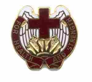 US Army 143rd Evacuation Hospital Unit Crest - Saunders Military Insignia