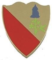 US Army 15th Support Battalion Unit Crest