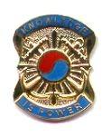 US Army 163rd Military Intelligence Battalion Unit Crest