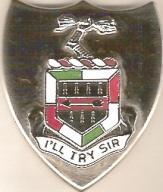 US Army 177th Finance Unit Crest - Saunders Military Insignia