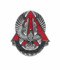 US Army 227th Aviation Battalion Unit Crest