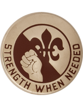 US Army 249th General Hospital Unit Crest