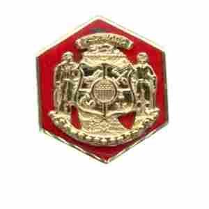 US Army 257th Field Artillery Unit Crest