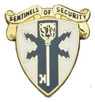 US Army 309TH Military Battalion Unit Crest - Saunders Military Insignia