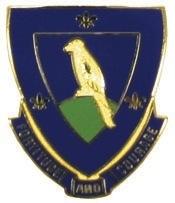 US Army 314th Infantry Unit Crest