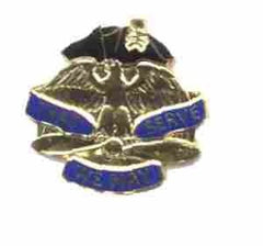 US Army 31st Aviation Group Unit Crest - Saunders Military Insignia