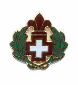 US Army 344th Combat Support Hospital Unit Crest - Saunders Military Insignia