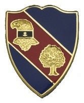 US Army 354th Regiment Unit Crest - Saunders Military Insignia