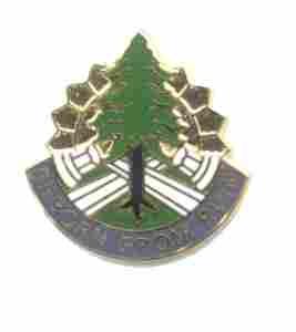 US Army 365th Civil Affairs Brigade Unit Crest
