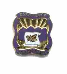 US Army 399th Civil Affairs Group Unit Crest - Saunders Military Insignia