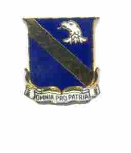 US Army 401st Infantry Unit Crest