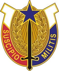 US Army 407th Support Brigade Unit Crest